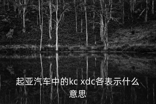 xdc，國際空運操作中的XDC費是指什么費用