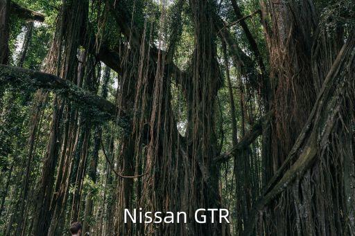 哈曼汽車，Nissan GTR
