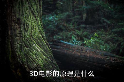 3D電影的原理是什么