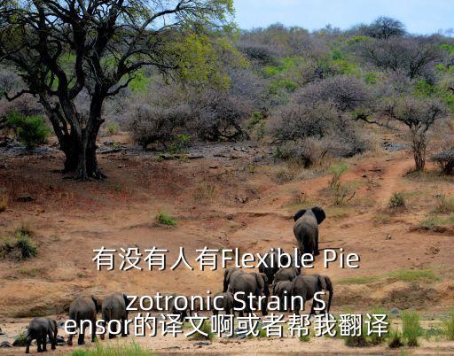 柔性電子學(xué)，會(huì)成為柔性電子技術(shù)發(fā)展的轉(zhuǎn)折點(diǎn)嗎