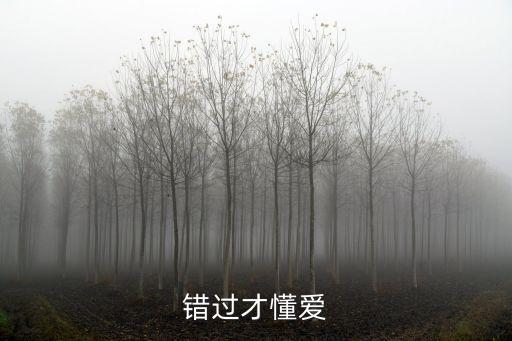 錯過才懂愛