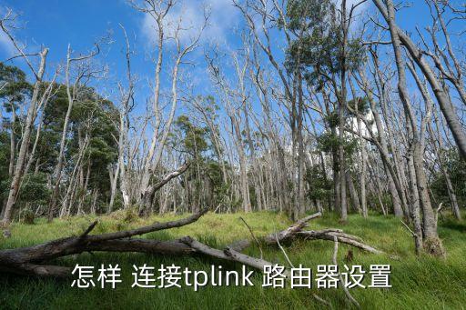 怎樣 連接tplink 路由器設(shè)置