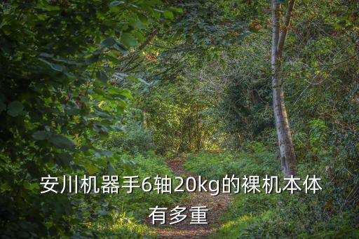  安川機器手6軸20kg的裸機本體有多重