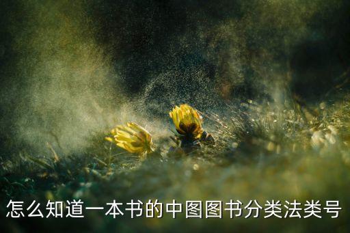 中圖分類號(hào)是什么，文章分類號(hào)和中圖分類號(hào)有什么區(qū)別