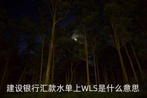 wls，建設(shè)銀行匯款水單上WLS是什么意思