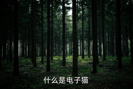電子貓，如何用電子貓