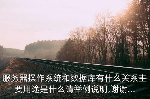 服務(wù)器操作系統(tǒng)和數(shù)據(jù)庫(kù)有什么關(guān)系主要用途是什么請(qǐng)舉例說(shuō)明,謝謝...