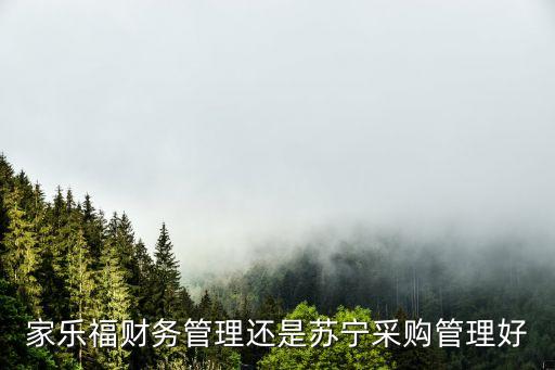 家樂福財務(wù)管理還是蘇寧采購管理好