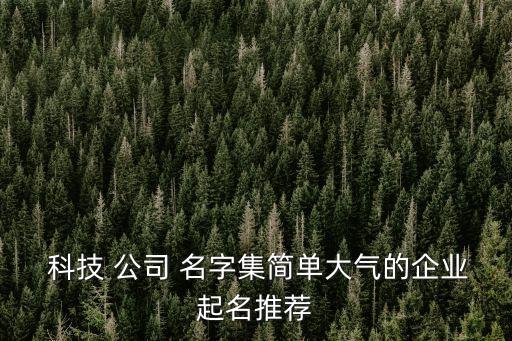  科技 公司 名字集簡單大氣的企業(yè)起名推薦