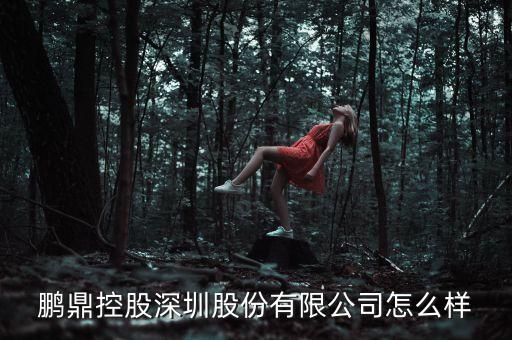鵬鼎控股深圳股份有限公司怎么樣