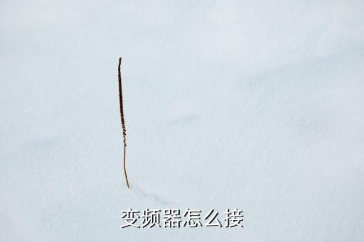 變頻器怎么接
