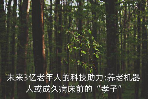 中國機(jī)器人社區(qū),國際機(jī)器人品牌消費(fèi)指南:有相當(dāng)發(fā)達(dá)的大腦