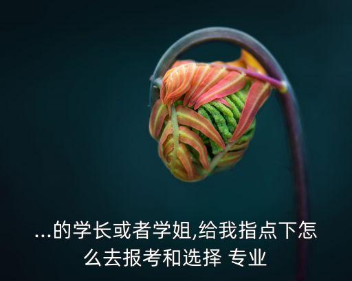 ...的學長或者學姐,給我指點下怎么去報考和選擇 專業(yè)