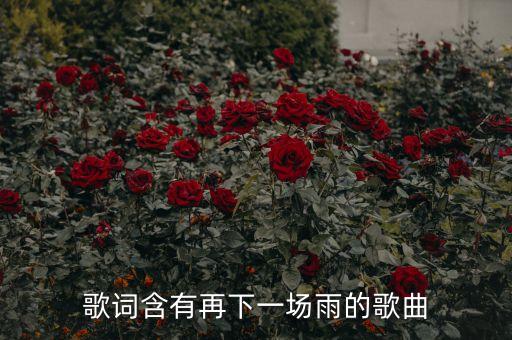 歌詞含有再下一場雨的歌曲