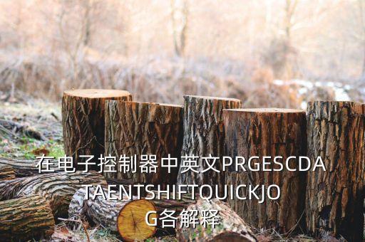 控制器英文，什么是AutoMation控制器名稱