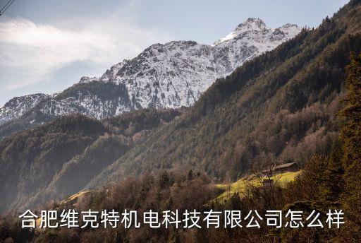 合肥天絡(luò)自動化設(shè)備,合肥正進自動化設(shè)備有限公司