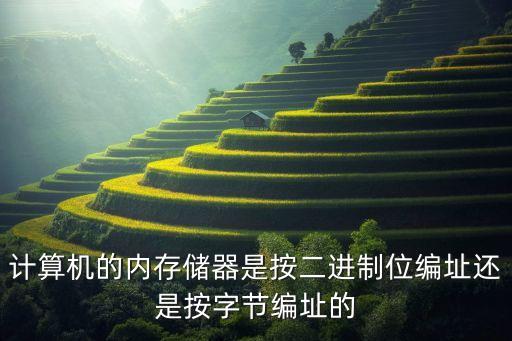 計(jì)算機(jī)的內(nèi)存儲器是按二進(jìn)制位編址還是按字節(jié)編址的