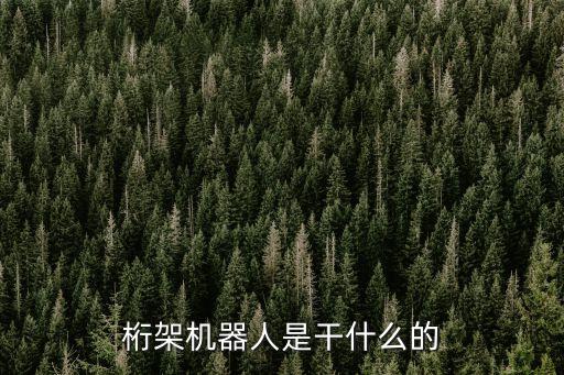 桁架機(jī)器人是干什么的