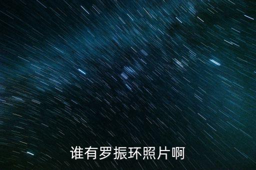 羅振環(huán)，愛情公寓3片尾曲