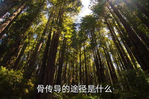 骨傳導(dǎo)，什么是骨傳導(dǎo)