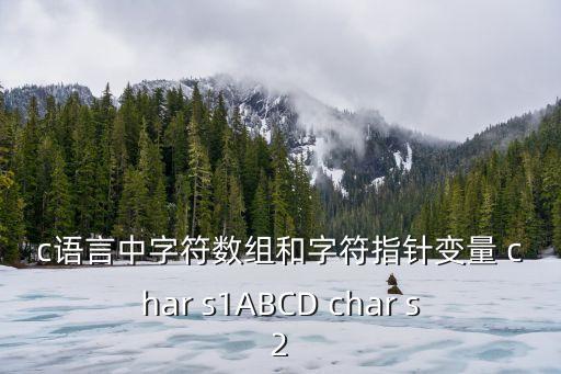 c語(yǔ)言中字符數(shù)組和字符指針變量 char s1ABCD char s2