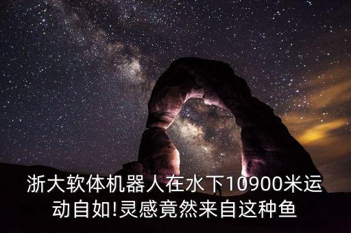 國外最新水下機器人,消費級水下無人機市場成就肯機器人