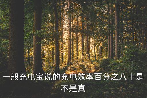 一般充電寶說(shuō)的充電效率百分之八十是不是真