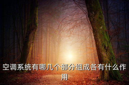 空調(diào)系統(tǒng)組成,汽車空調(diào)系統(tǒng)由哪些系統(tǒng)組成?