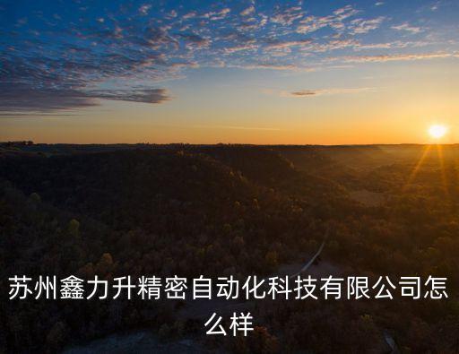蘇州鑫力升精密自動(dòng)化科技有限公司怎么樣