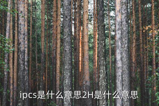 ipcs是什么意思2H是什么意思