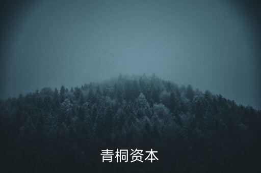 青桐資本