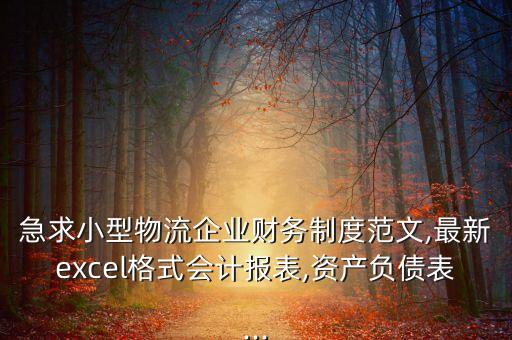 急求小型物流企業(yè)財務(wù)制度范文,最新excel格式會計報表,資產(chǎn)負(fù)債表...