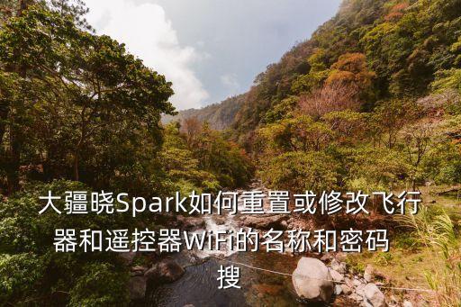 大疆曉Spark如何重置或修改飛行器和遙控器WiFi的名稱和密碼  搜