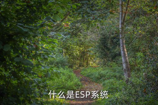 esp系統(tǒng)，什么是ESP系統(tǒng)