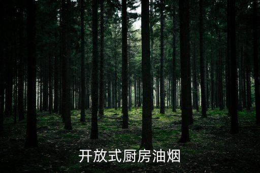 自動(dòng)化煙管設(shè)備,煙道清洗設(shè)備多少錢?