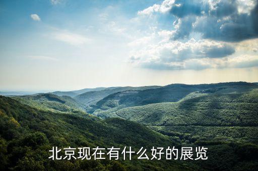北京現(xiàn)在有什么好的展覽