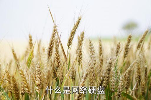 網(wǎng)絡(luò)硬盤(pán)，什么是網(wǎng)絡(luò)硬盤(pán)
