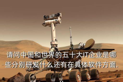 請問中國和世界的五十大IT企業(yè)是哪些分別研發(fā)什么還有在具體軟件方面...