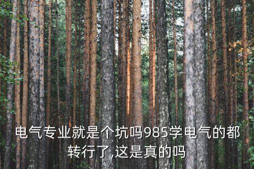 電氣專業(yè)就是個(gè)坑嗎985學(xué)電氣的都轉(zhuǎn)行了,這是真的嗎