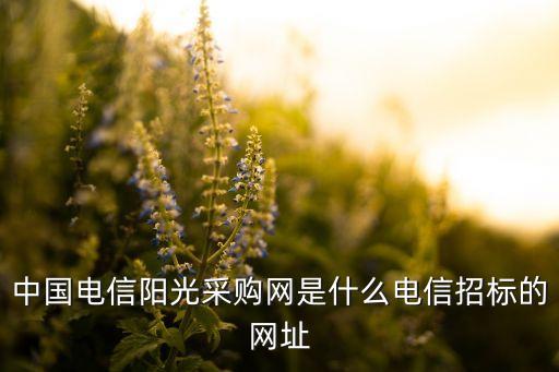中國(guó)電信陽光采購(gòu)網(wǎng)，電信 采購(gòu) 招標(biāo) 上什么網(wǎng)