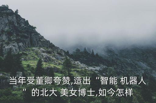 當(dāng)年受董卿夸贊,造出“智能 機(jī)器人”的北大 美女博士,如今怎樣