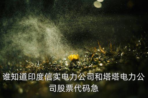誰知道印度信實電力公司和塔塔電力公司股票代碼急