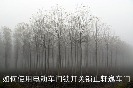 如何使用電動車門鎖開關(guān)鎖止軒逸車門