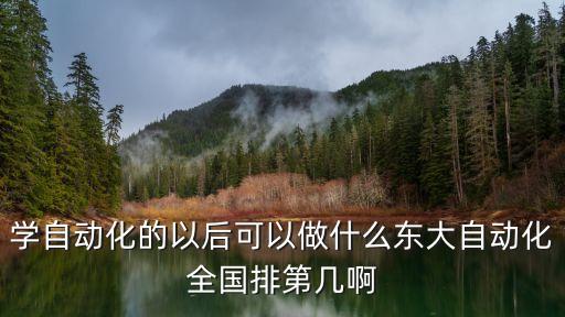 學自動化的以后可以做什么東大自動化全國排第幾啊
