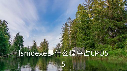 lsm樹，有知道 hbase中的 lsm樹和trie樹分別是用來干嘛的么