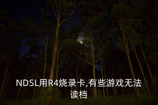 NDSL用R4燒錄卡,有些游戲無法讀檔