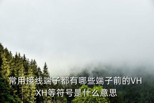 常用接線端子都有哪些端子前的VH XH等符號(hào)是什么意思