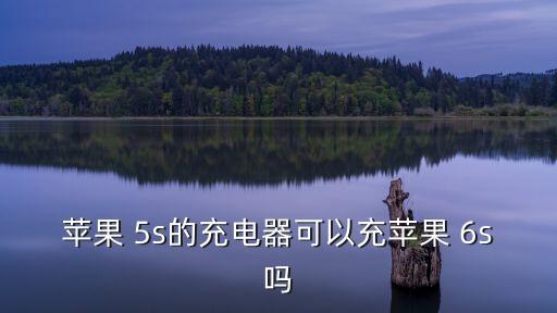 蘋果 5s的充電器可以充蘋果 6s嗎