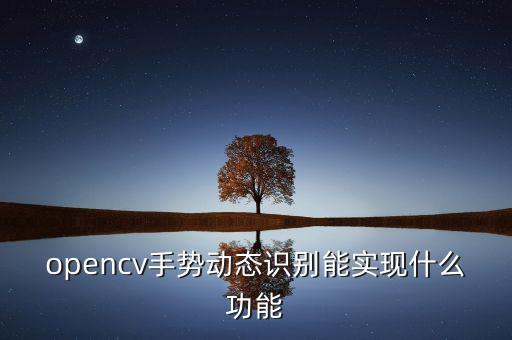 opencv手勢動態(tài)識別能實現(xiàn)什么功能