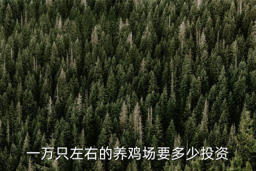 一萬只左右的養(yǎng)雞場要多少投資